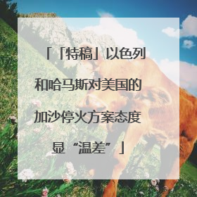 「特稿」以色列和哈马斯对美国的加沙停火方案态度显“温差”