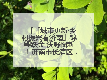 「城市更新·乡村振兴看济南」锦鲤跃金 沃野图新！济南市长清区：小锦鲤大产业 游出农旅新风景