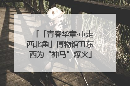 「青春华章·重走西北角」博物馆丑东西为“神马”爆火