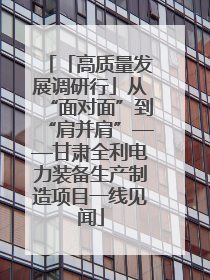 「高质量发展调研行」从“面对面”到“肩并肩”——甘肃全利电力装备生产制造项目一线见闻