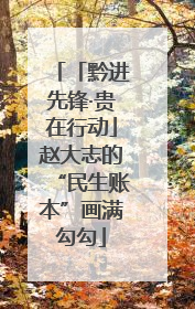 「黔进先锋·贵在行动」赵大志的“民生账本”画满勾勾