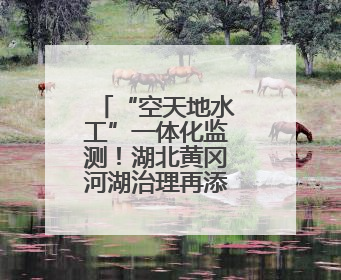 “空天地水工”一体化监测！湖北黄冈河湖治理再添“利器”