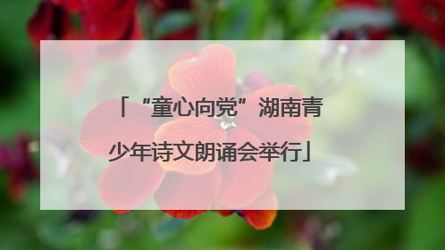 “童心向党”湖南青少年诗文朗诵会举行