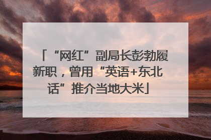 “网红”副局长彭勃履新职，曾用“英语+东北话”推介当地大米