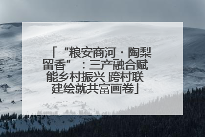 “粮安商河・陶梨留香”：三产融合赋能乡村振兴 跨村联建绘就共富画卷