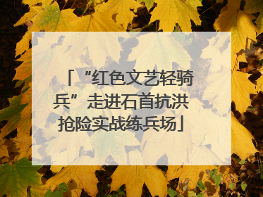 “红色文艺轻骑兵”走进石首抗洪抢险实战练兵场