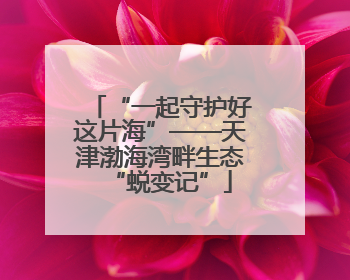 “一起守护好这片海”——天津渤海湾畔生态“蜕变记”