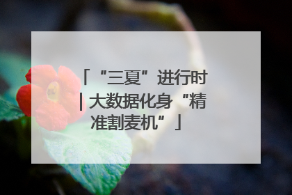 “三夏”进行时｜大数据化身“精准割麦机”