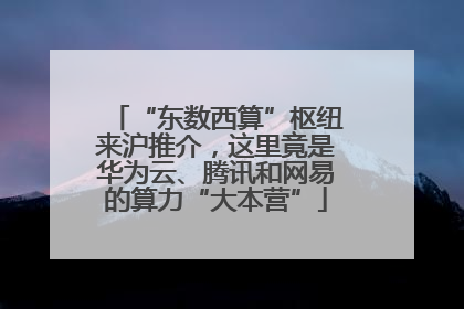“东数西算”枢纽来沪推介，这里竟是华为云、腾讯和网易的算力“大本营”