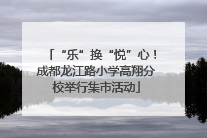 “乐”换“悦”心！成都龙江路小学高翔分校举行集市活动