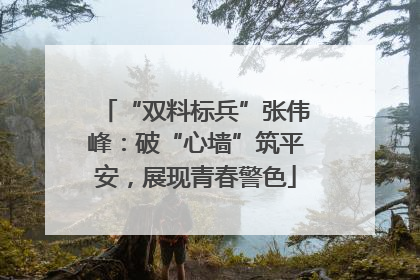 “双料标兵”张伟峰：破“心墙”筑平安，展现青春警色