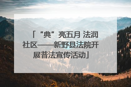 “典”亮五月 法润社区——新野县法院开展普法宣传活动