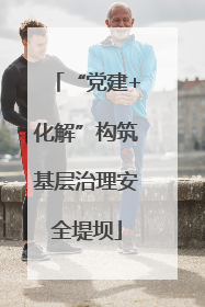 “党建+化解”构筑基层治理安全堤坝