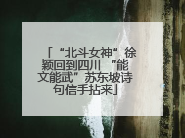 “北斗女神”徐颖回到四川 “能文能武”苏东坡诗句信手拈来