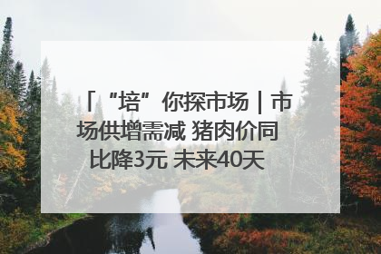“培”你探市场｜市场供增需减 猪肉价同比降3元 未来40天便宜猪肉敞开吃