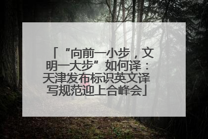 “向前一小步，文明一大步”如何译：天津发布标识英文译写规范迎上合峰会