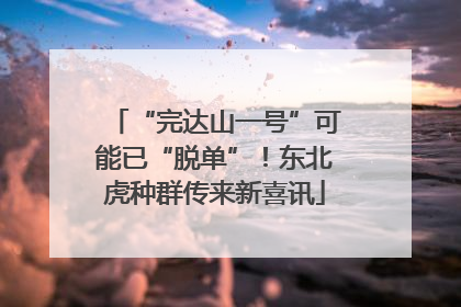 “完达山一号”可能已“脱单”！东北虎种群传来新喜讯