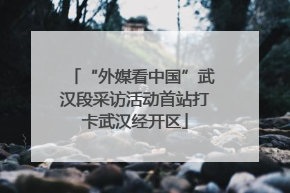 “外媒看中国”武汉段采访活动首站打卡武汉经开区