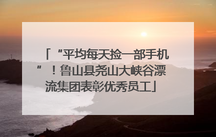 “平均每天捡一部手机”！鲁山县尧山大峡谷漂流集团表彰优秀员工