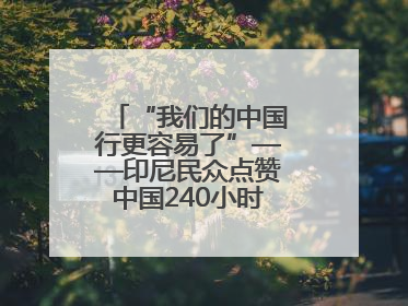 “我们的中国行更容易了”——印尼民众点赞中国240小时过境免签政策