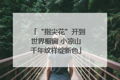 “指尖花”开到世界橱窗 小凉山千年纹样绽新色