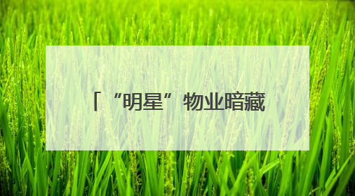 “明星”物业暗藏的税收算计——揭开怀化泰和物业服务有限公司隐匿未开票收入偷税真相