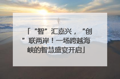 “智”汇嘉兴，“创”联两岸！一场跨越海峡的智慧盛宴开启