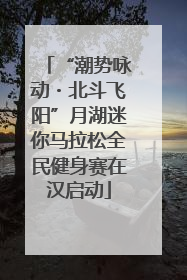 “潮势咏动・北斗飞阳”月湖迷你马拉松全民健身赛在汉启动