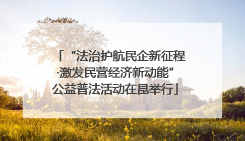 “法治护航民企新征程·激发民营经济新动能”公益普法活动在昆举行