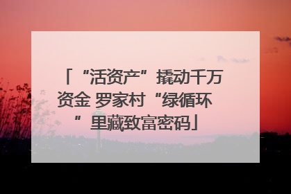“活资产”撬动千万资金 罗家村“绿循环”里藏致富密码