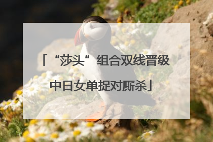 “莎头”组合双线晋级 中日女单捉对厮杀
