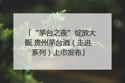 “茅台之夜”绽放大阪 贵州茅台酒（走进系列）上市发布