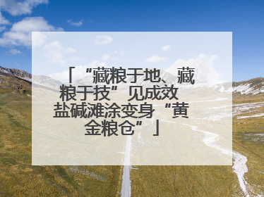 “藏粮于地、藏粮于技”见成效 盐碱滩涂变身“黄金粮仓”