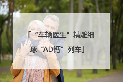 “车辆医生”精雕细琢“AD钙”列车