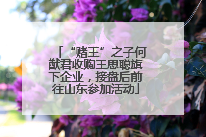 “赌王”之子何猷君收购王思聪旗下企业，接盘后前往山东参加活动