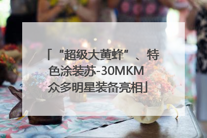 “超级大黄蜂”、特色涂装苏-30MKM 众多明星装备亮相