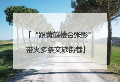 “跟黄鹤楼合张影”带火多条文旅街巷