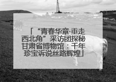 “青春华章·重走西北角”采访团探秘甘肃省博物馆：千年珍宝诉说丝路辉煌