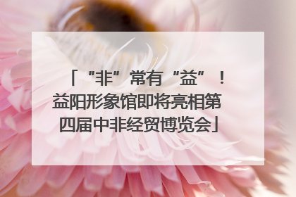 “非”常有“益”！益阳形象馆即将亮相第四届中非经贸博览会