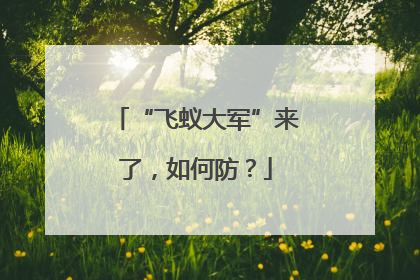 “飞蚁大军”来了，如何防？