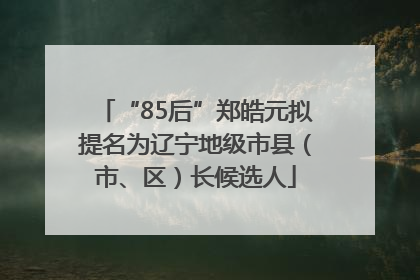 “85后”郑皓元拟提名为辽宁地级市县（市、区）长候选人