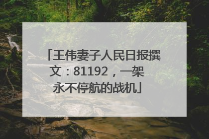 王伟妻子人民日报撰文：81192，一架永不停航的战机