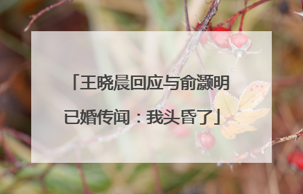 王晓晨回应与俞灏明已婚传闻：我头昏了