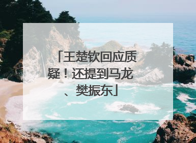 王楚钦回应质疑！还提到马龙、樊振东