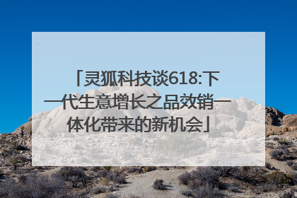 灵狐科技谈618:下一代生意增长之品效销一体化带来的新机会