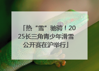 热“雪”驰骋！2025长三角青少年滑雪公开赛在沪举行