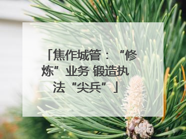 焦作城管：“修炼”业务 锻造执法“尖兵”