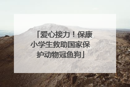 爱心接力！保康小学生救助国家保护动物冠鱼狗