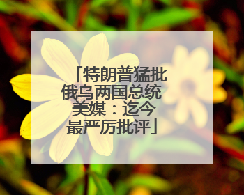 特朗普猛批俄乌两国总统 美媒：迄今最严厉批评