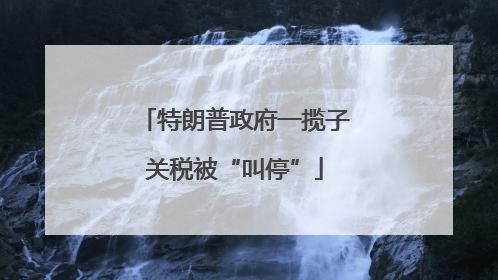 特朗普政府一揽子关税被“叫停”